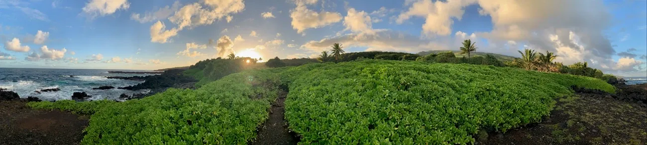 Kipahulu Campground