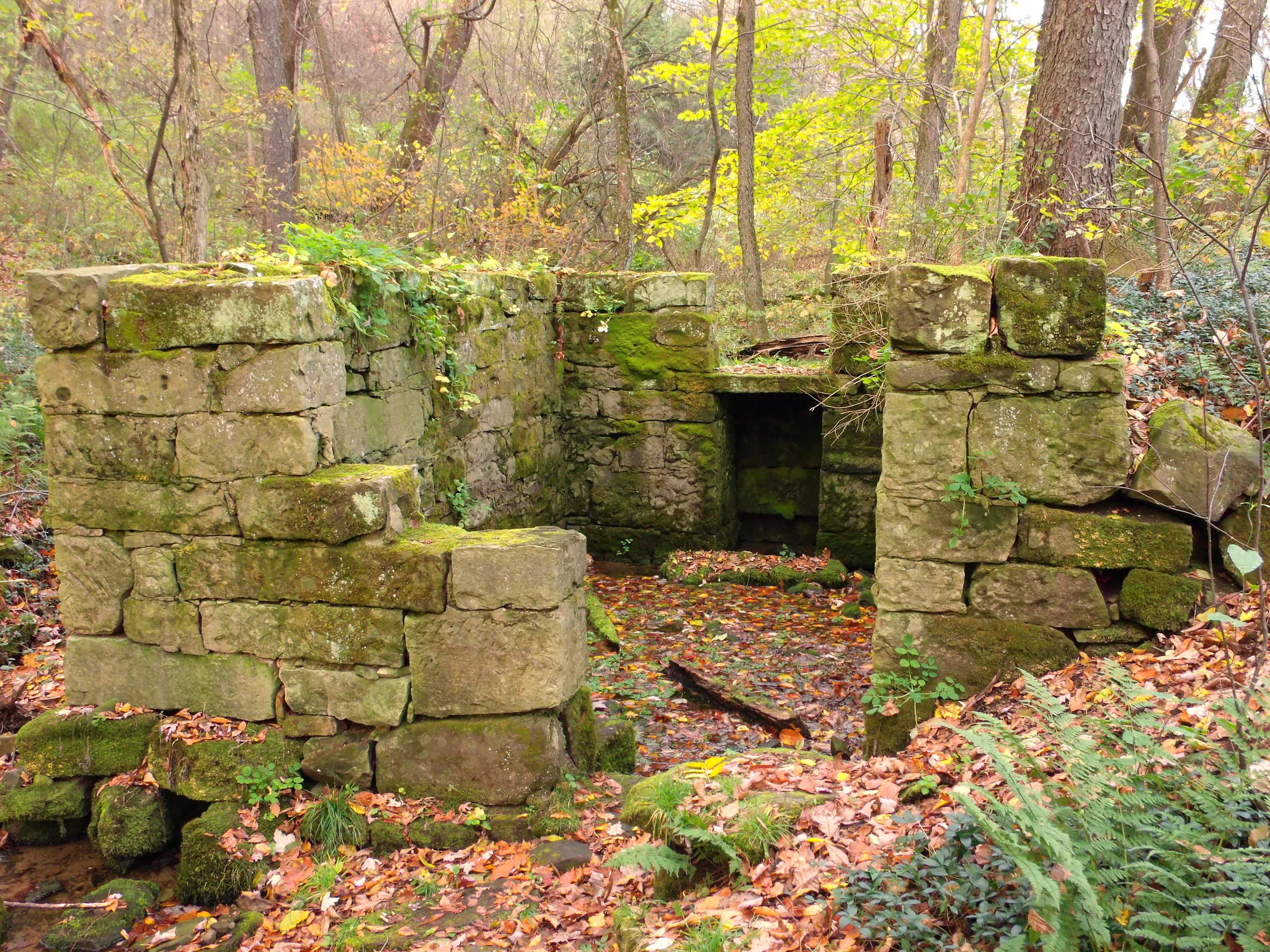 Maurice K Goddard State Park