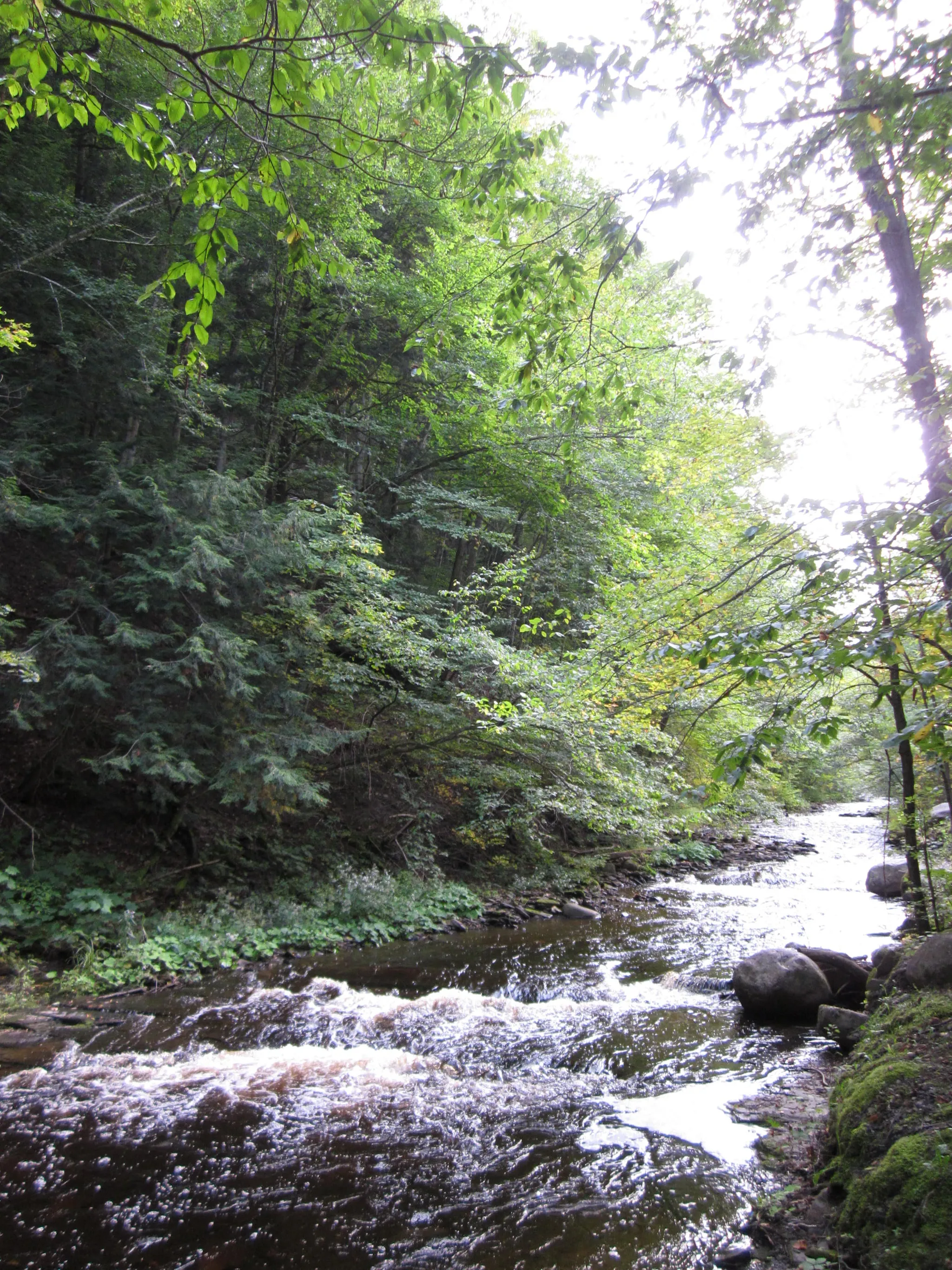 Whetstone Gulf State Park