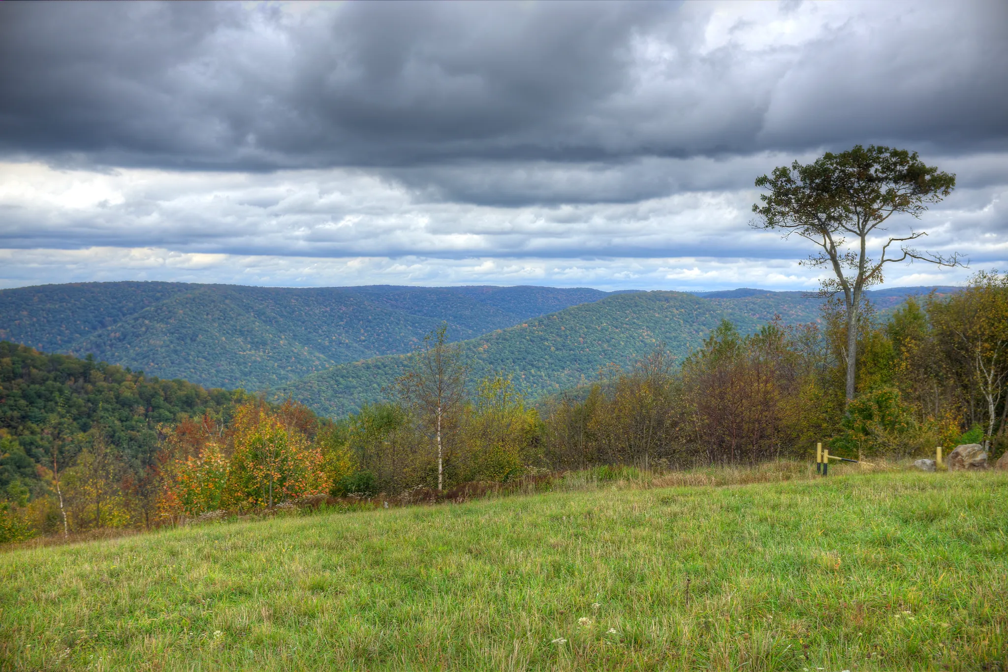 Sproul State Forest