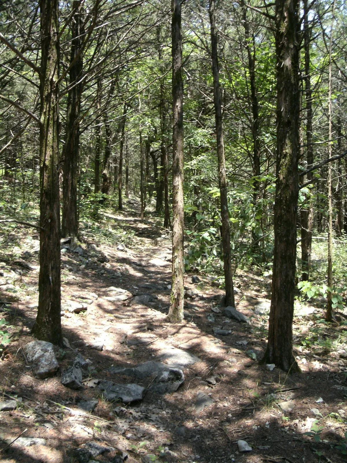 Thorny Ridge Campground