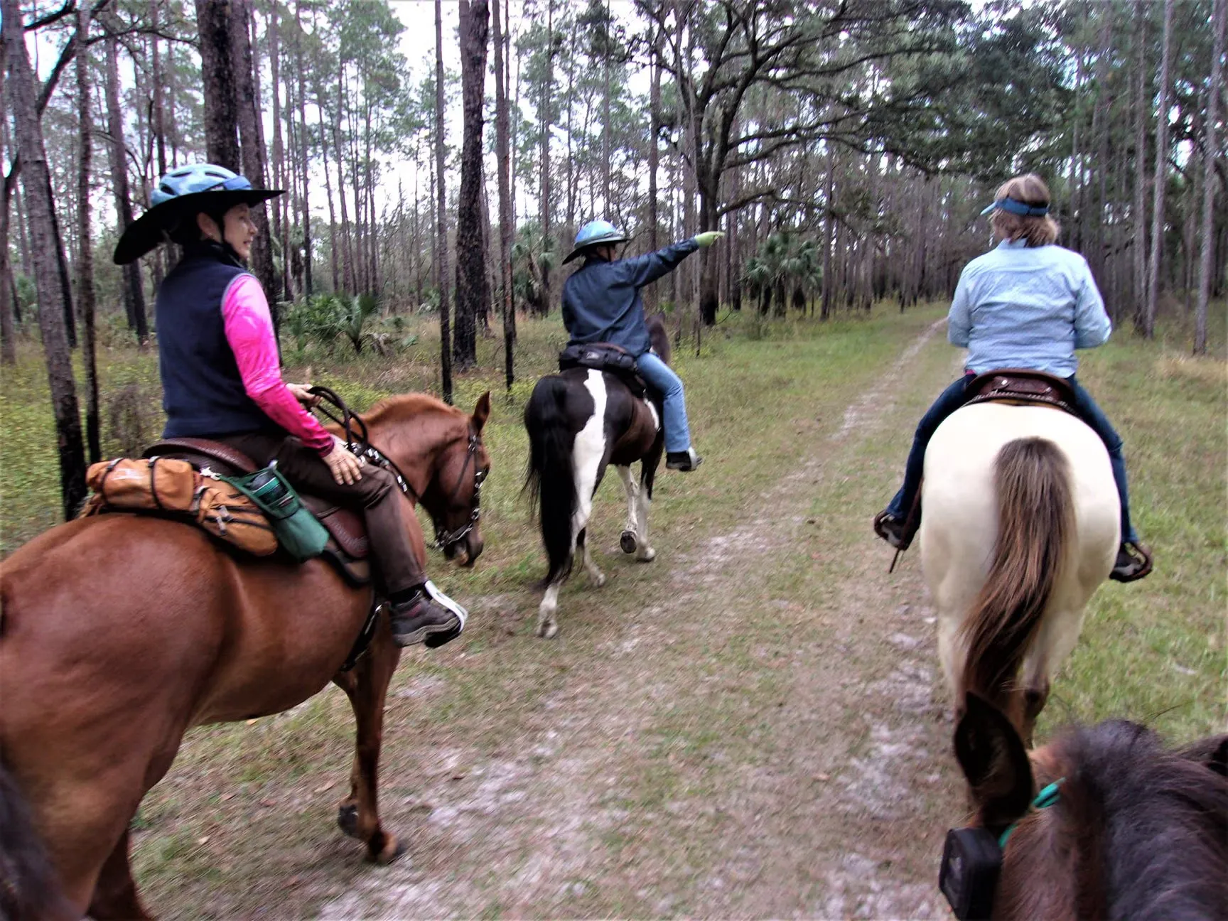 Colt Creek State Park Campground