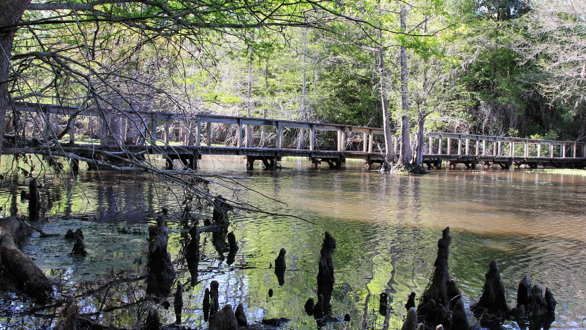 Martin Dies Jr. State Park