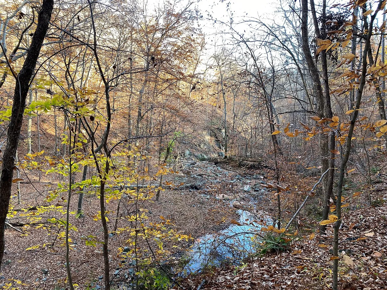 Patapsco Valley State Park
