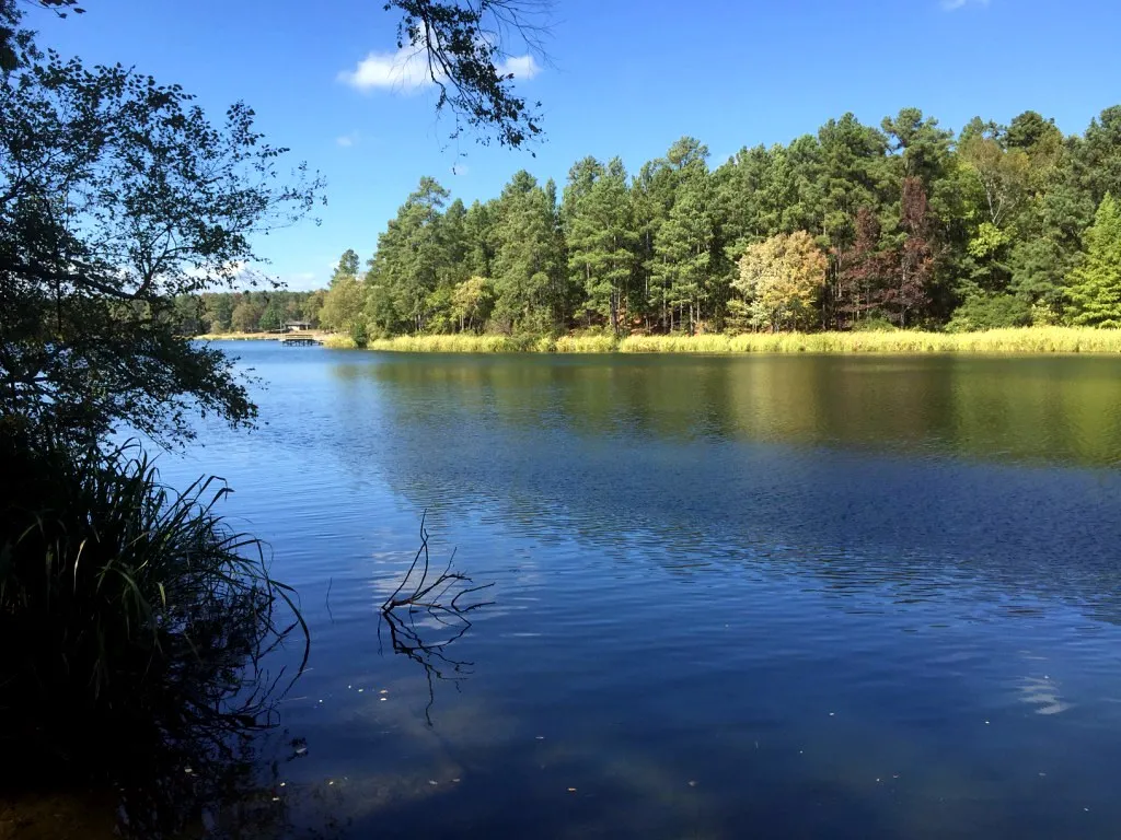 Tyler State Park