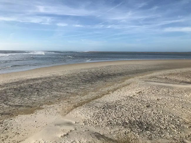 South Core Banks -- Beach Camping