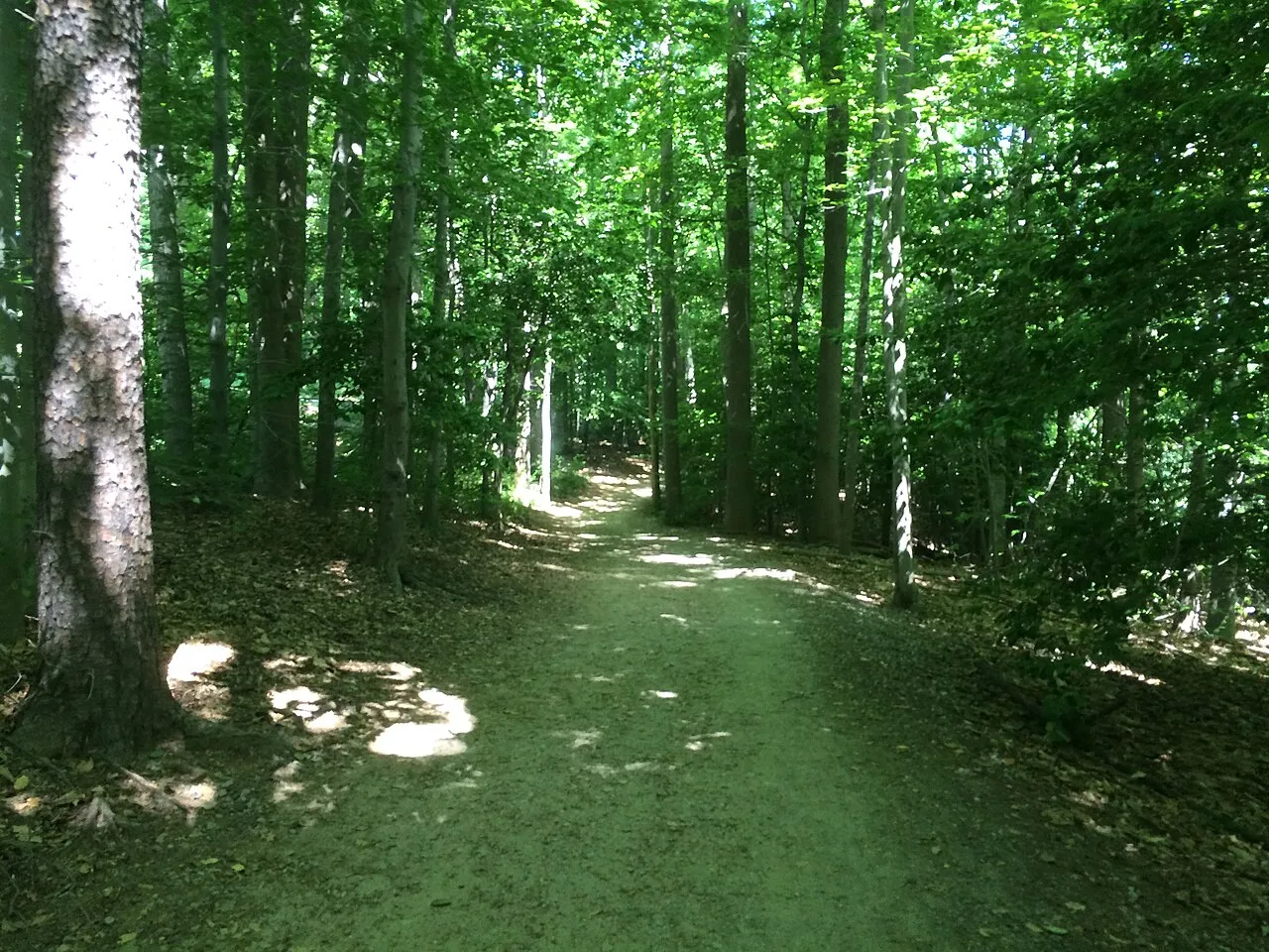 Burke Lake Park Campground