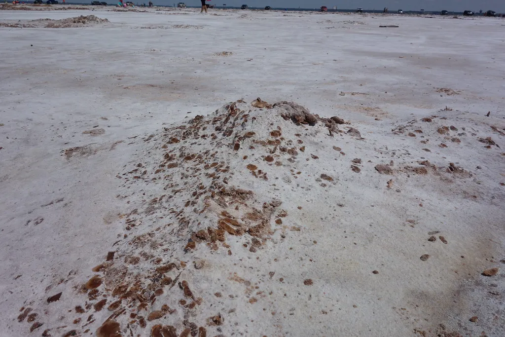 Salt Plains State Park