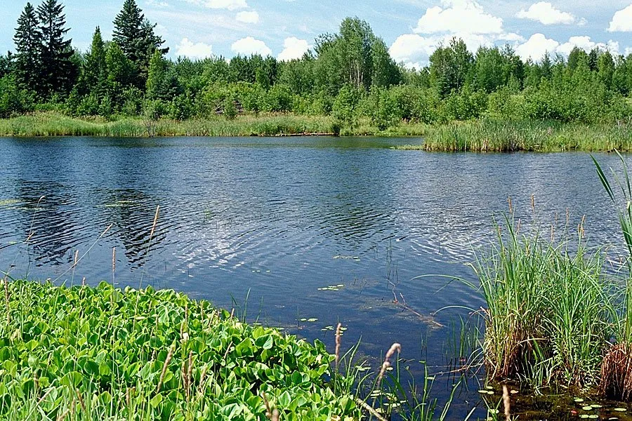 Moose Lake Campground