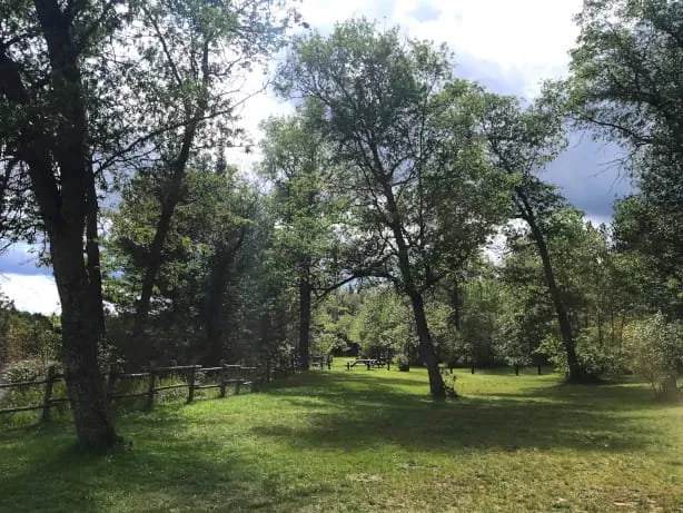 Parmalee Bridge State Forest Campground And Canoe Camp