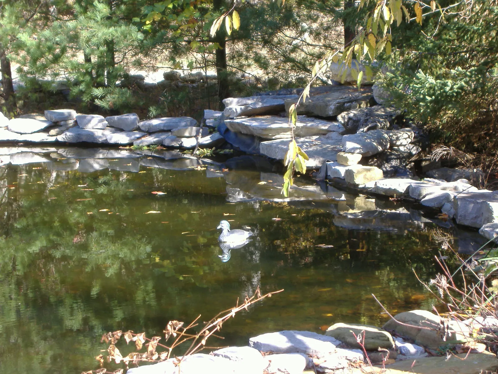 Obannon Woods State Park