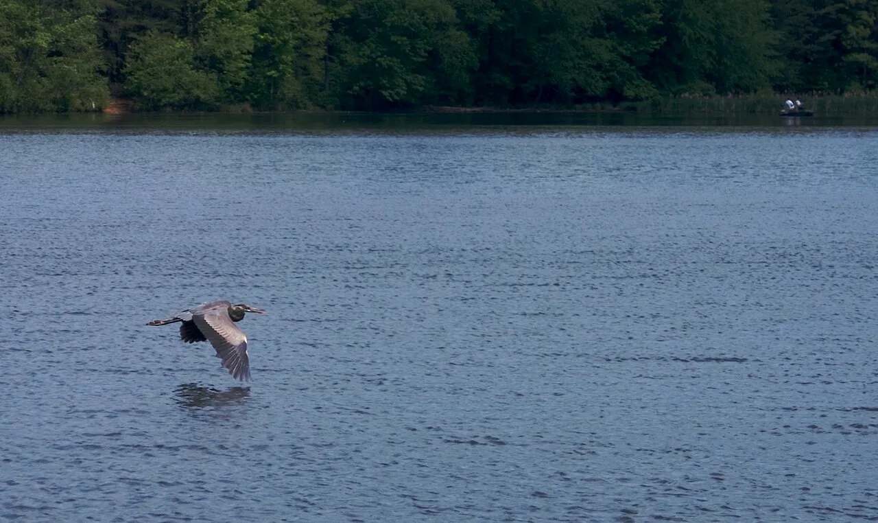 Burke Lake Park Campground
