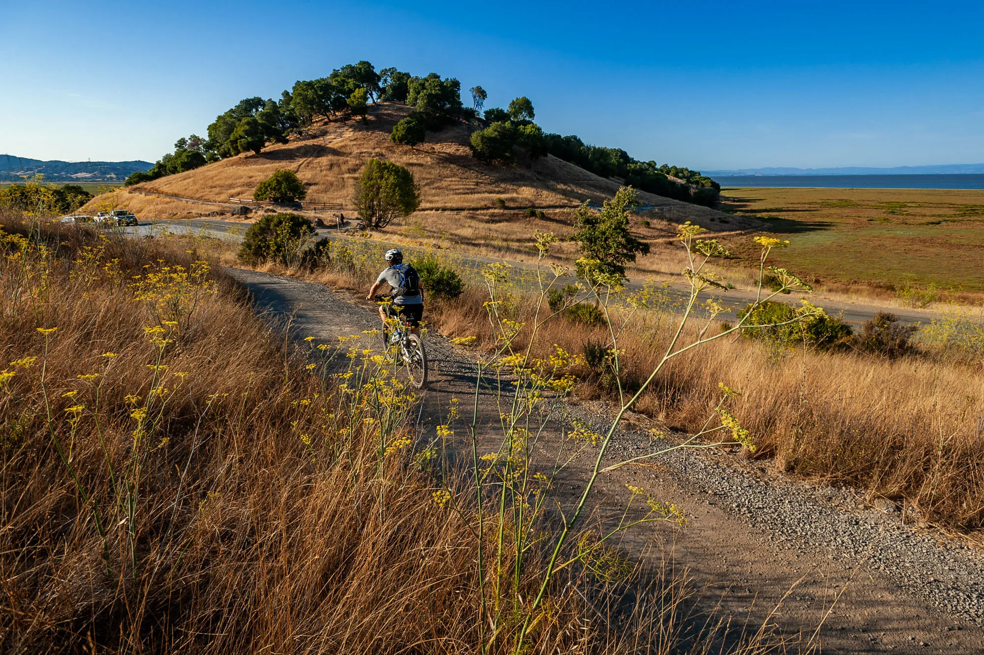 China Camp State Park Campground