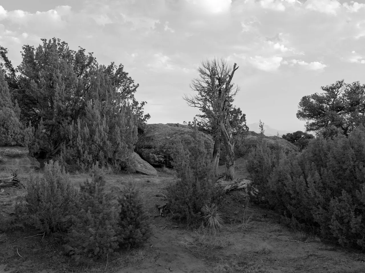 Lathrop Campground