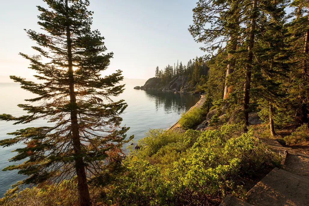 Pine Campground