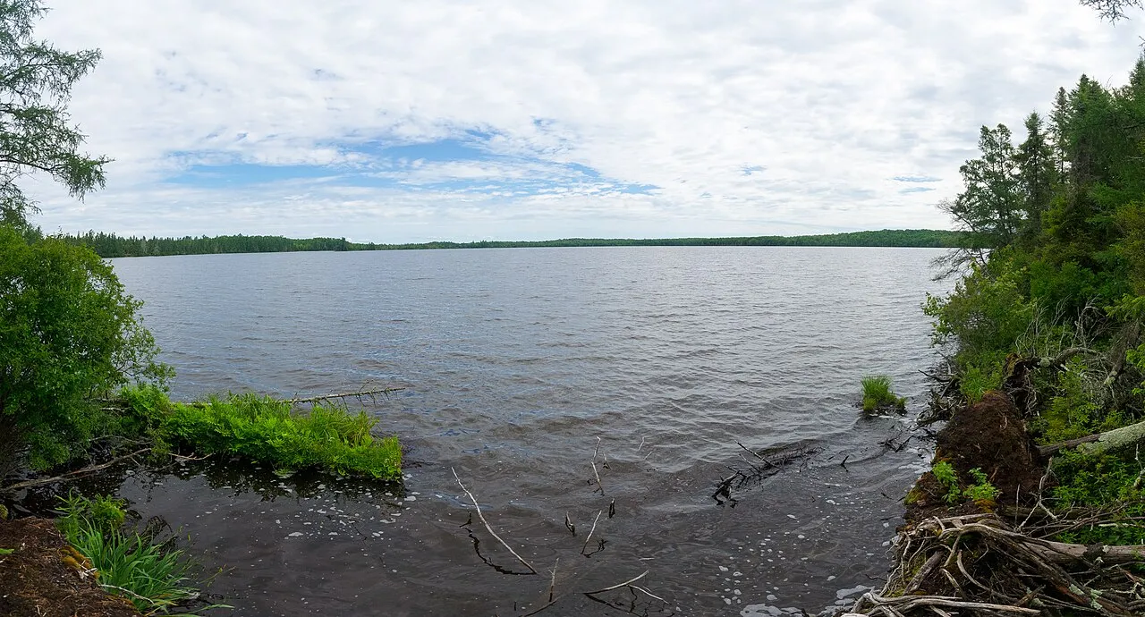 Flambeau River State Forest