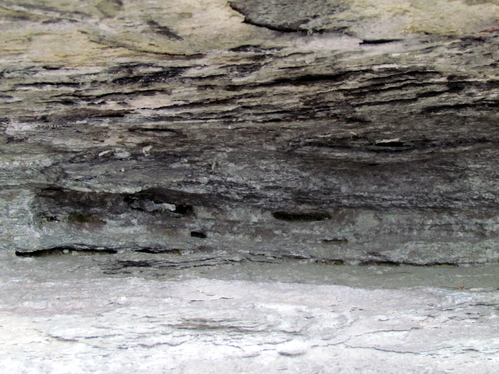 Pilot Mountain State Park