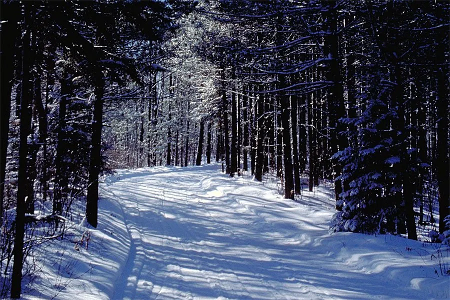 Hayes Lake Campground