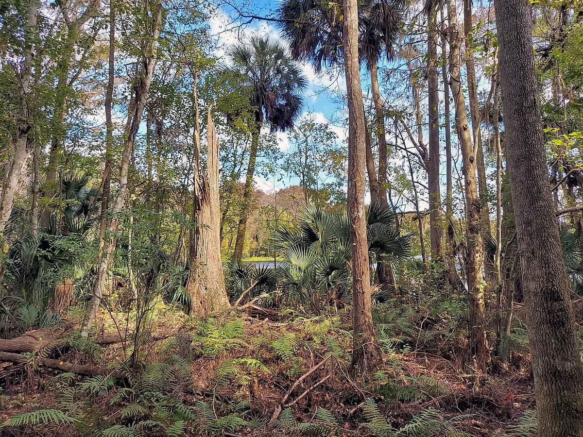 Silver Springs State Park Campground