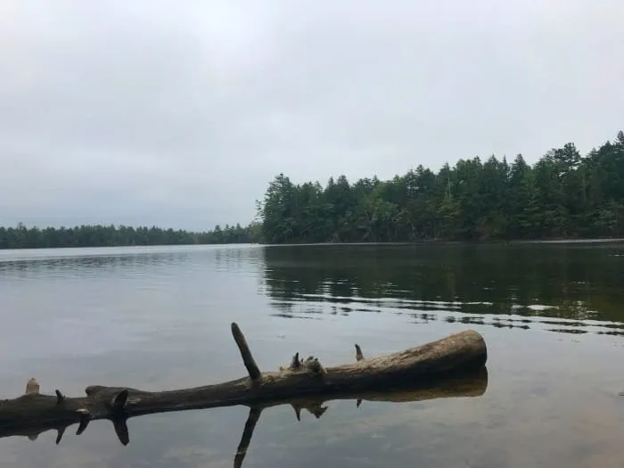 North Gemini Lake State Forest Campground