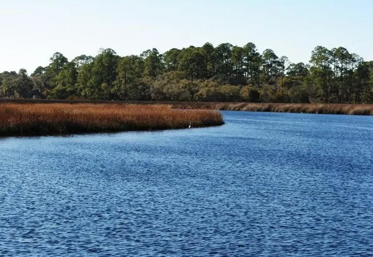 Faverdykes Campground