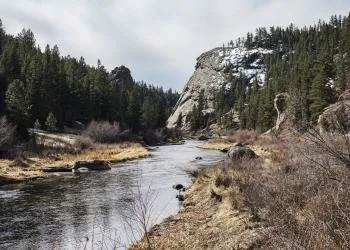 Cimarron Group Site