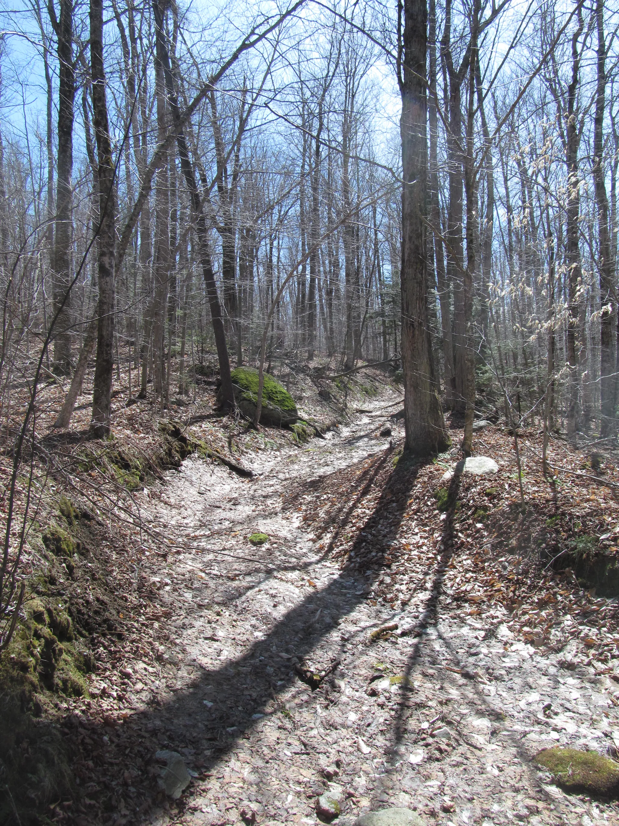 Savoy Mountain State Forest