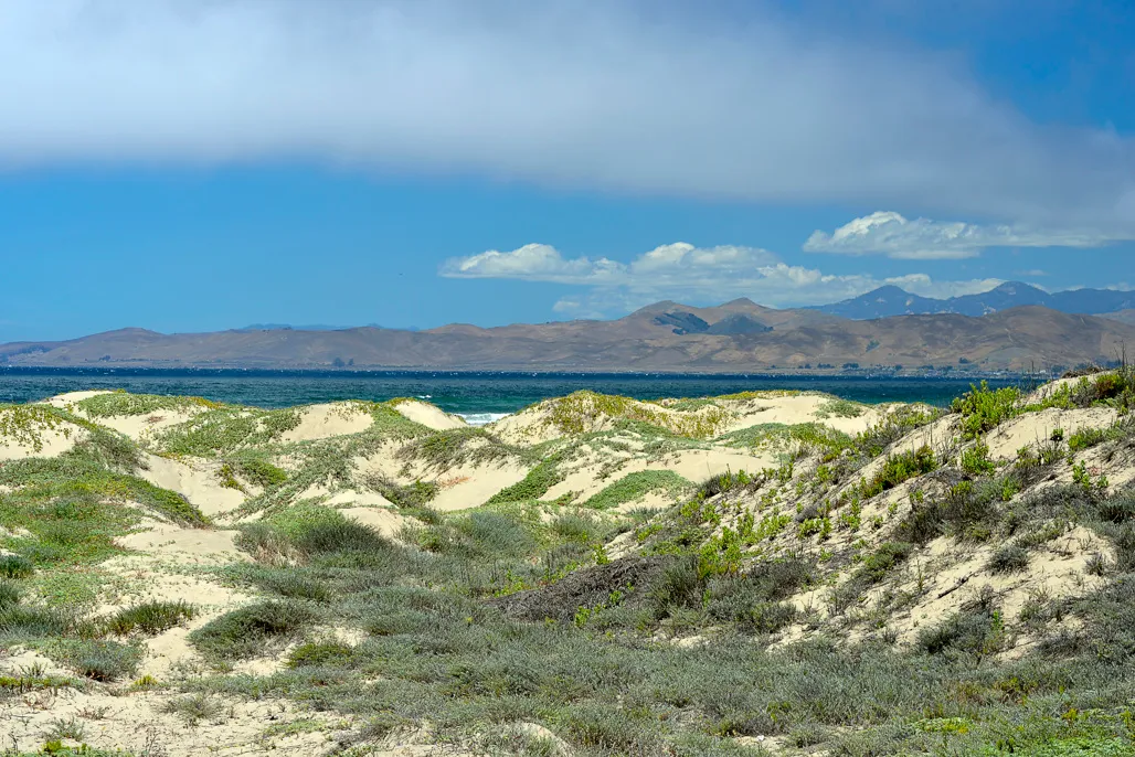 Morro Strand State Beach Campground