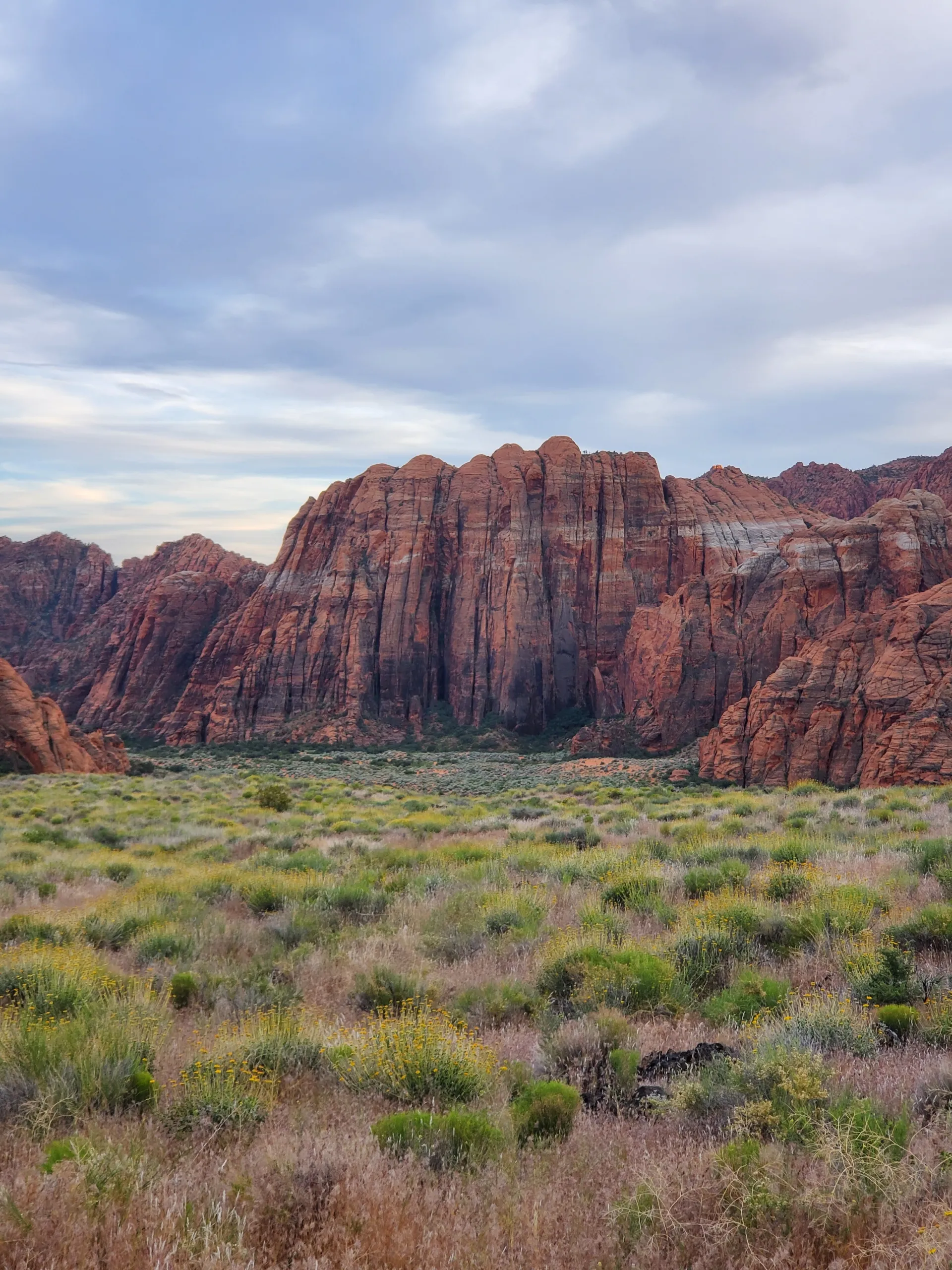 Snow Canyon State Park