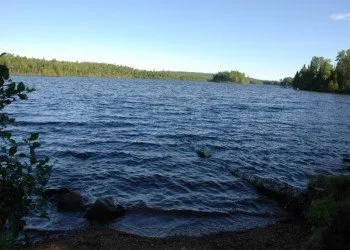 Trout Lake