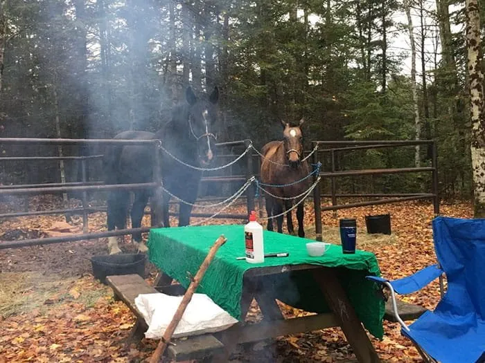 Cedar River North Equestrian State Forest Campground And Trail Camp