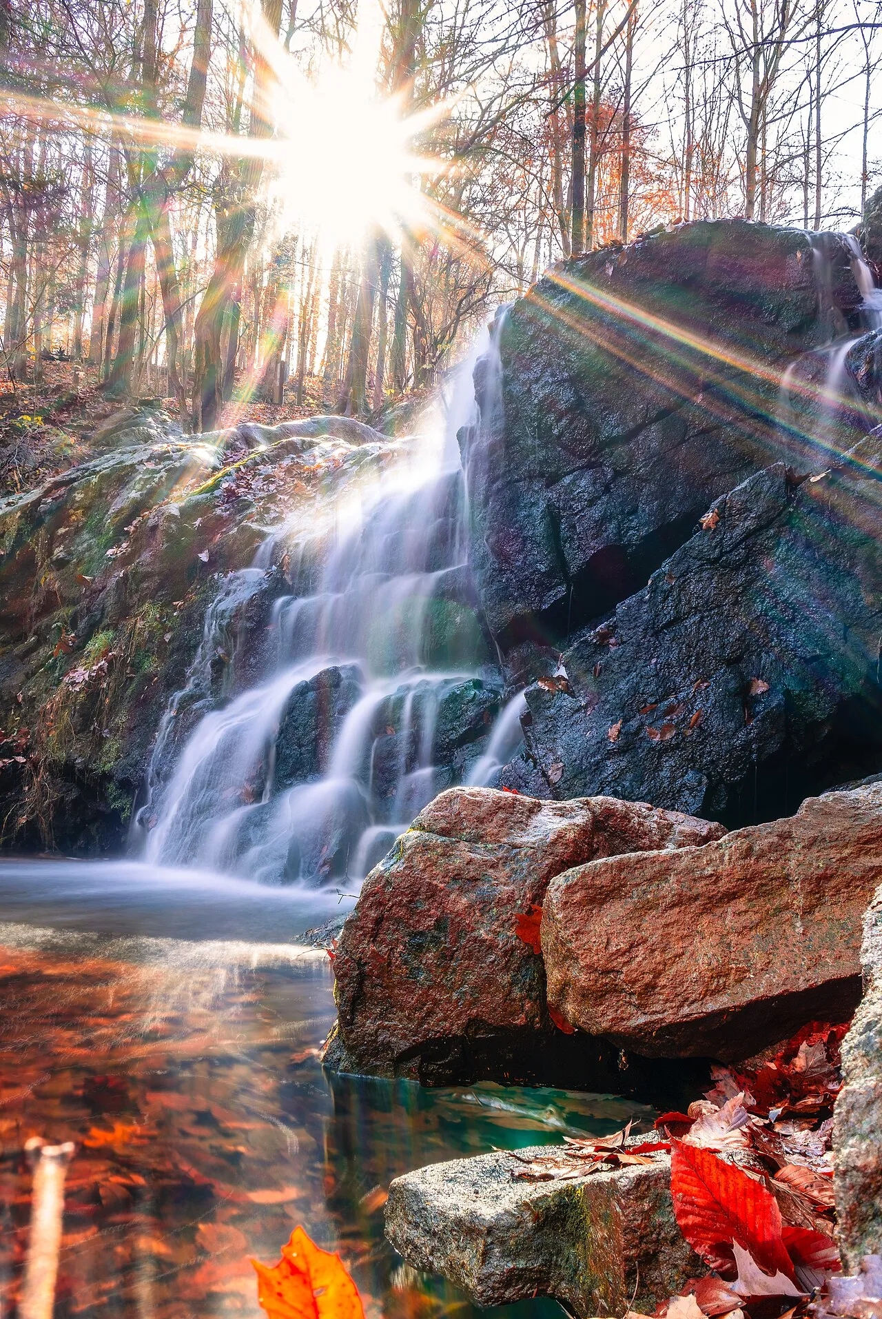 Patapsco Valley State Park