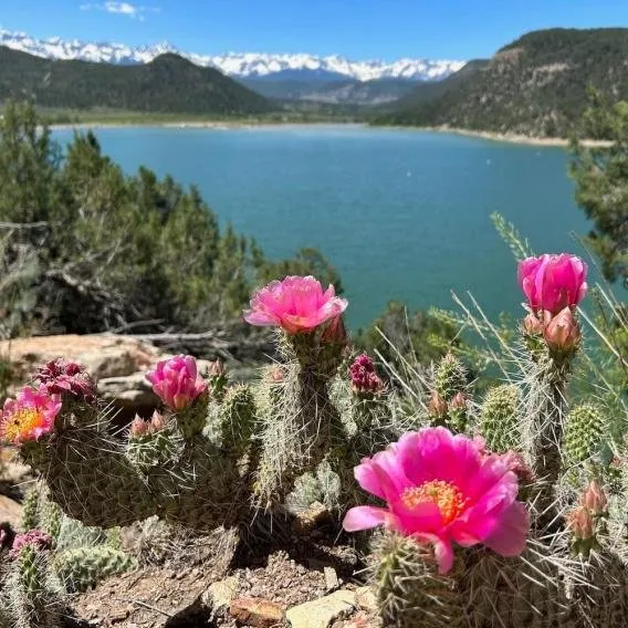 Ridgway State Park