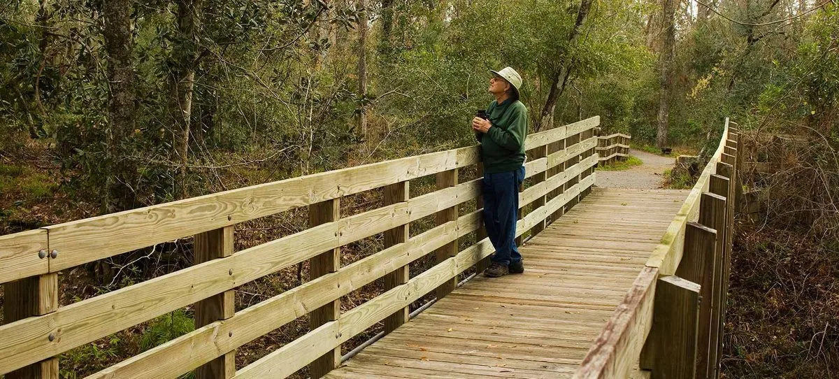 Village Creek State Park