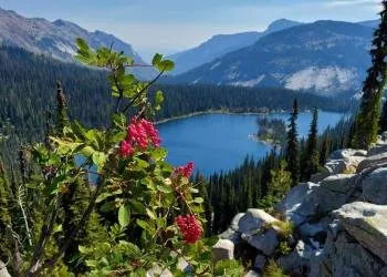 Black Bear Campground