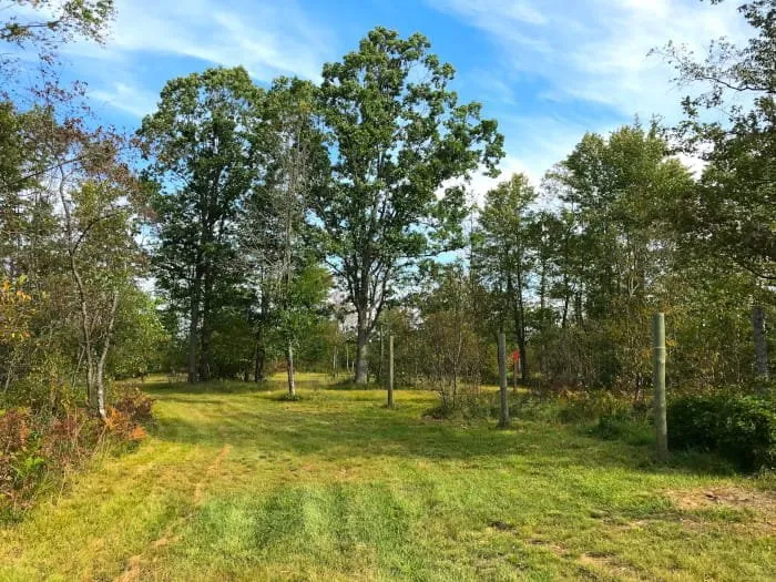 4 Mile Trail Camp