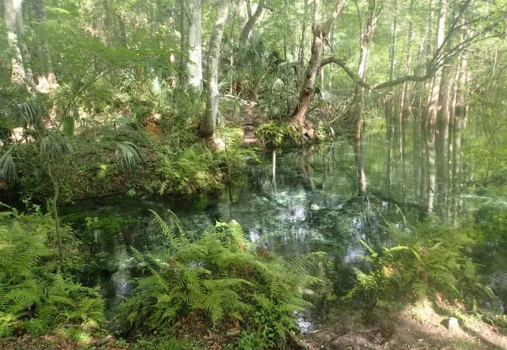 Fanning Springs State Park Campground