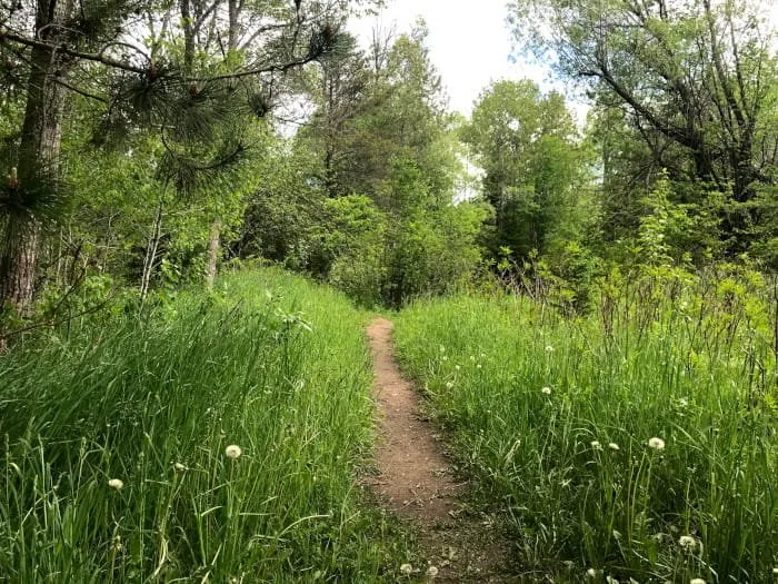 Haakwood State Forest Campground