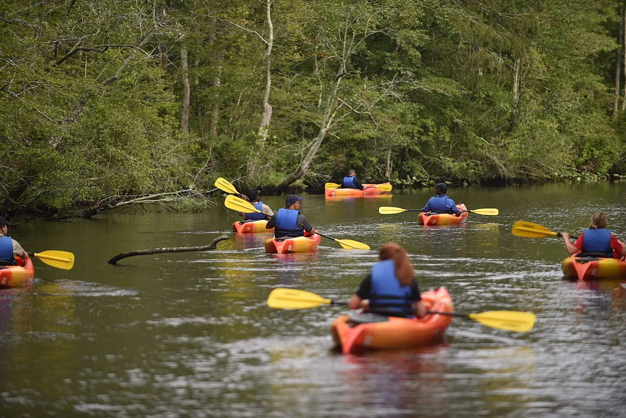 Pocomoke River State Park