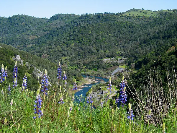 Mineral Bar Campground