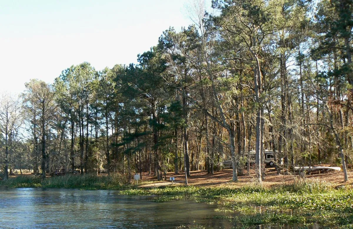 Hillsborough River State Park Campground 2