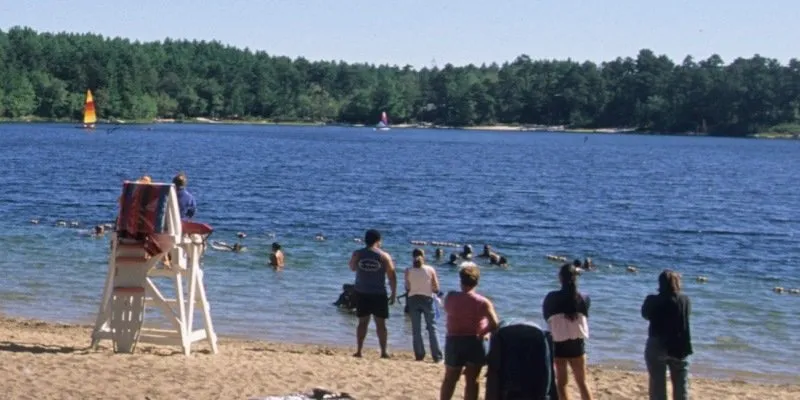 Shawme Crowell State Forest