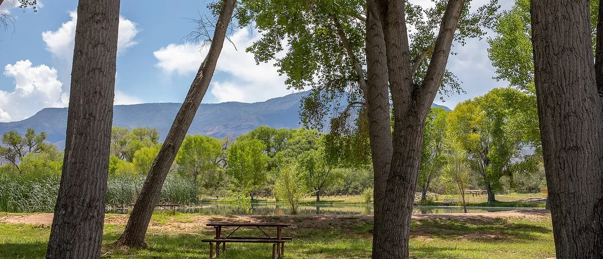 Group Campgrounds