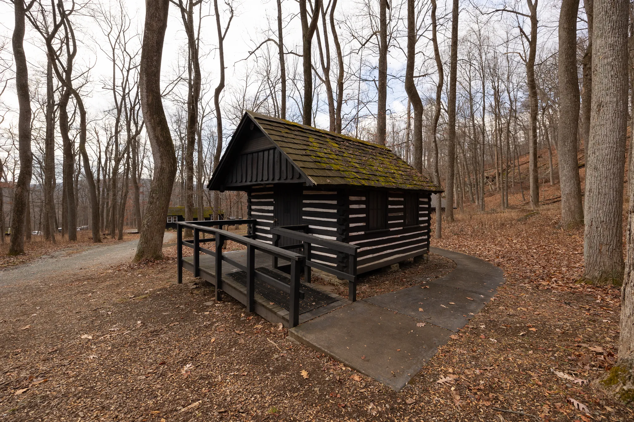 Camp Misty Mount