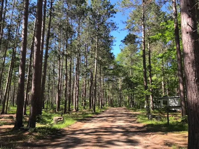 Culhane Lake State Forest Campground