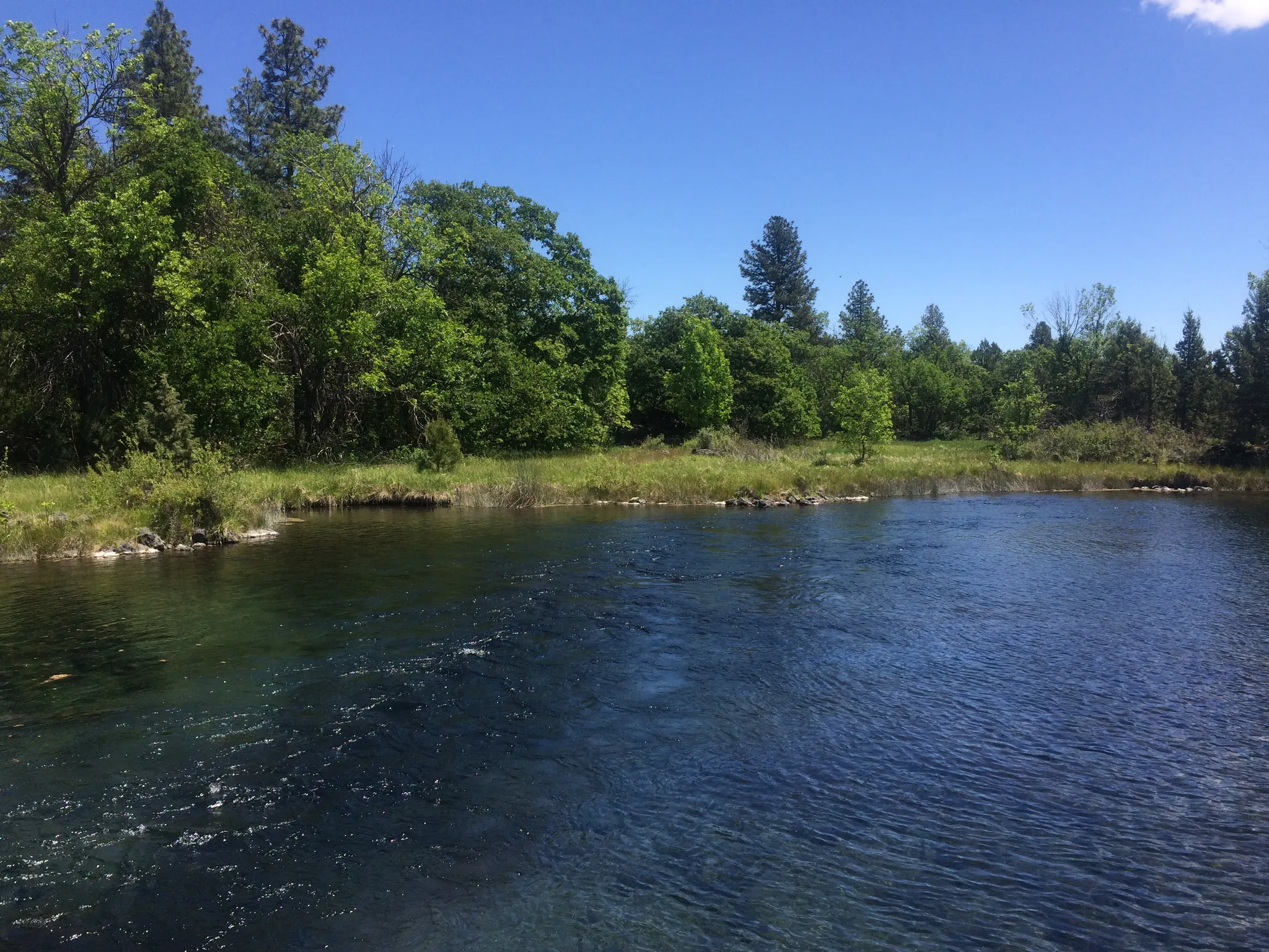 Ahjumawi Lava Springs State Park Campground