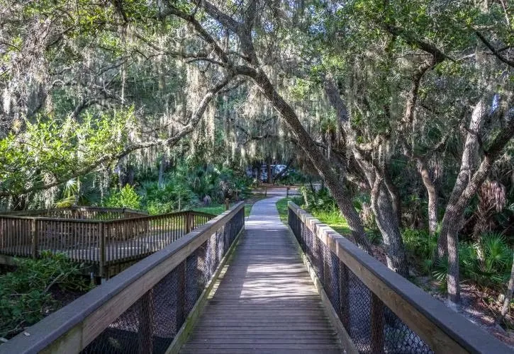 Oscar Scherer State Park Loop B