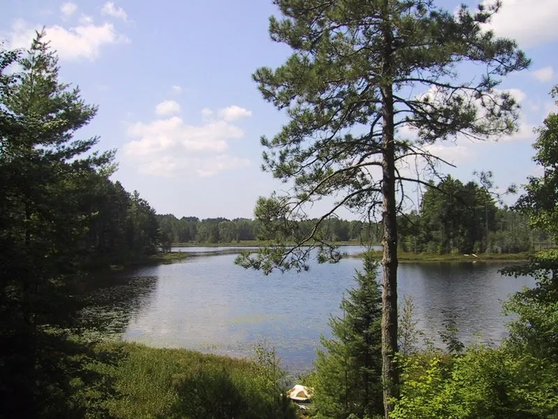 Lake Buffalo