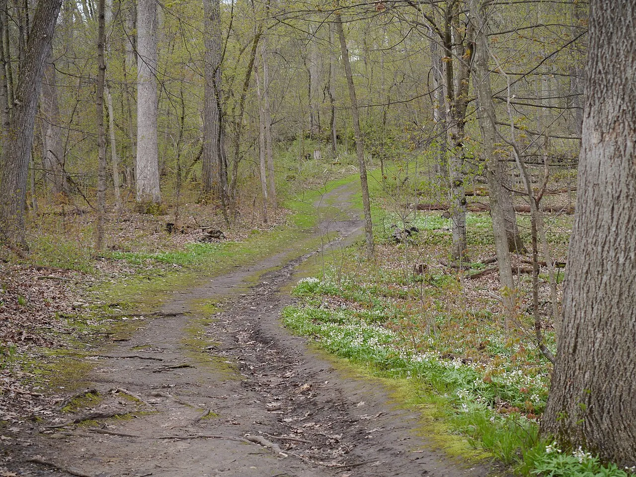 Lake Kegonsa State Park