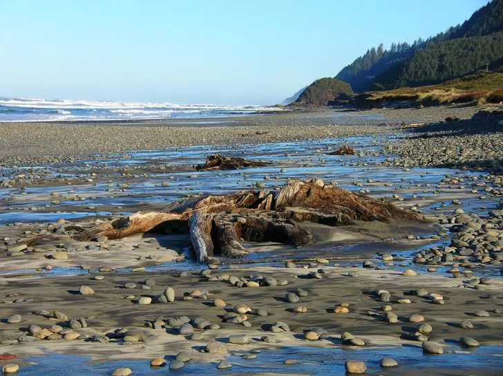Willamette Mission State Park